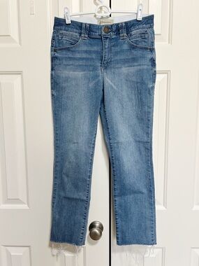 Democracy Ab Technology Jeans 6 Frayed Hem Classic Normcore